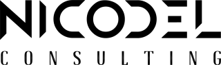 Logo : NICODEL CONSULTING